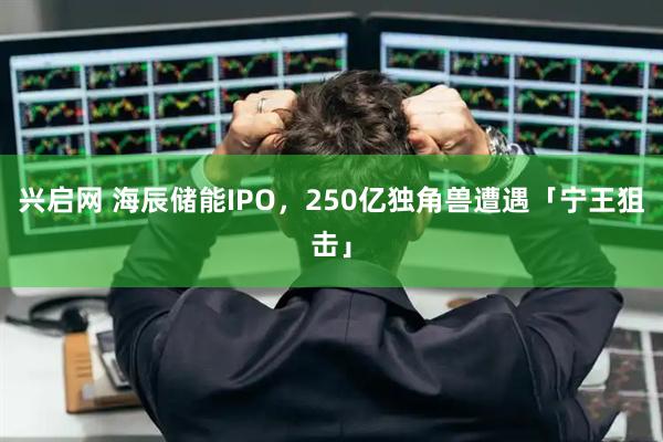 兴启网 海辰储能IPO，250亿独角兽遭遇「宁王狙击」