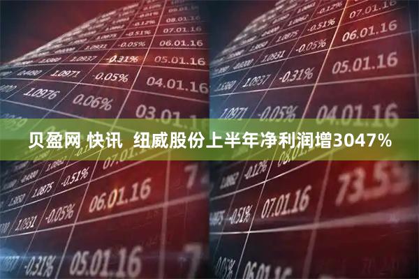 贝盈网 快讯  纽威股份上半年净利润增3047%